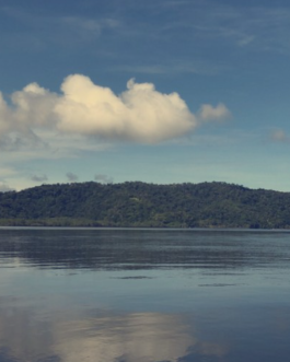 Combinación Especial: Isla del Caño y Corcovado (Estación San Pedrillo)