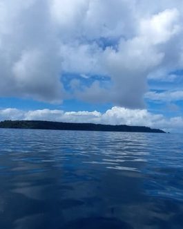 Snorkel en Isla del Caño