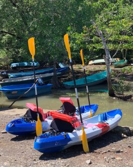 Térraba-Sierpe kayak en los manglares