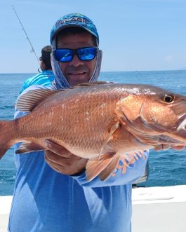 Pesca Deportiva Costera Medio Día