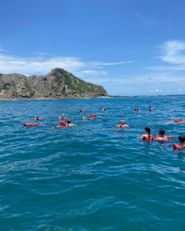Snorkel Parque Nacional Marino Ballena