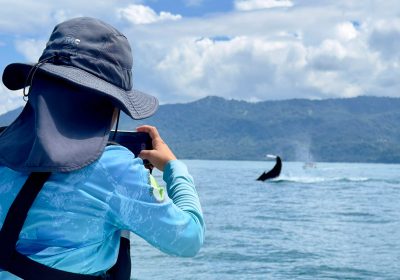Tour Combo: Parque Nacional Marino Ballena