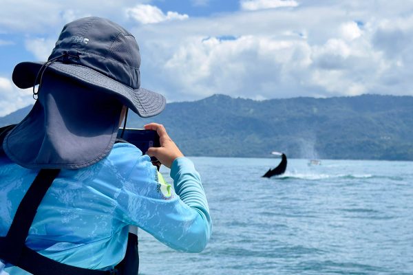 Tour Combo: Parque Nacional Marino Ballena