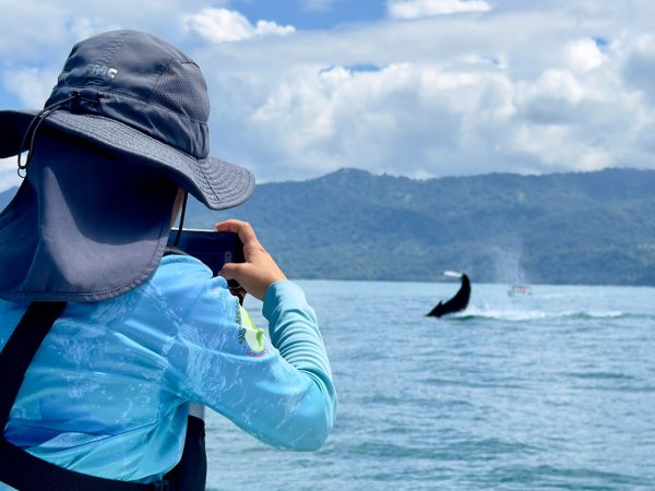Tour Combo: Parque Nacional Marino Ballena