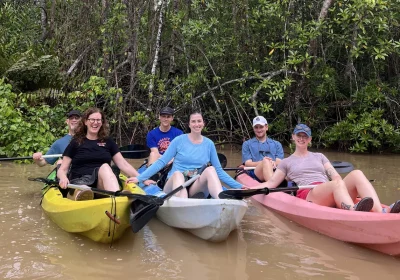 Tour de Kayak: Parque Nacional Marino Ballena