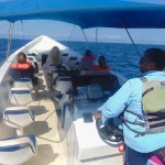 Ballena Aventura Historia