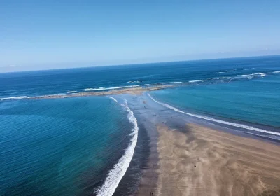 Caminata en: Marino Ballena