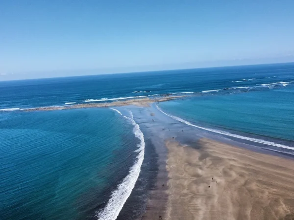 Caminata en: Marino Ballena